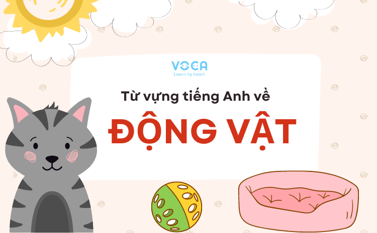 từ vựng tiếng anh về Động vật