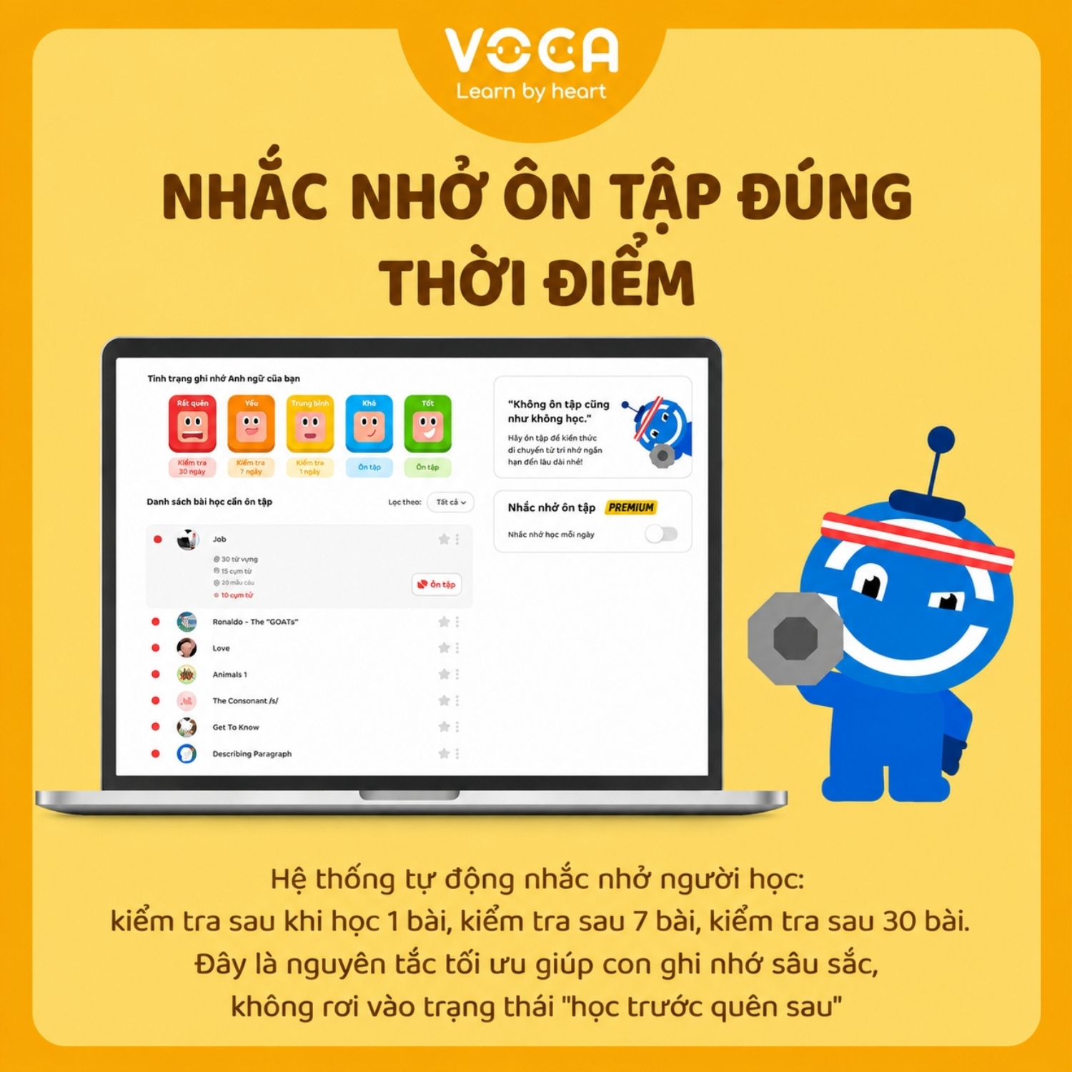 VOCA Global Success