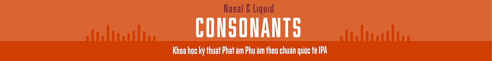 Consonants in the IPA (Nasal & Liquid) banner