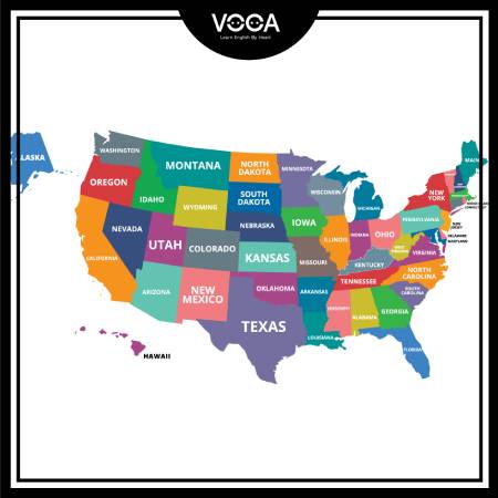 In which state will you study?