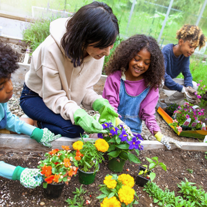 Community Service: Lesson 2
