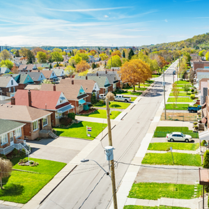 My Neighbourhood: Lesson 1