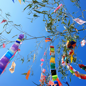 Festivals Around The World: Lesson 1