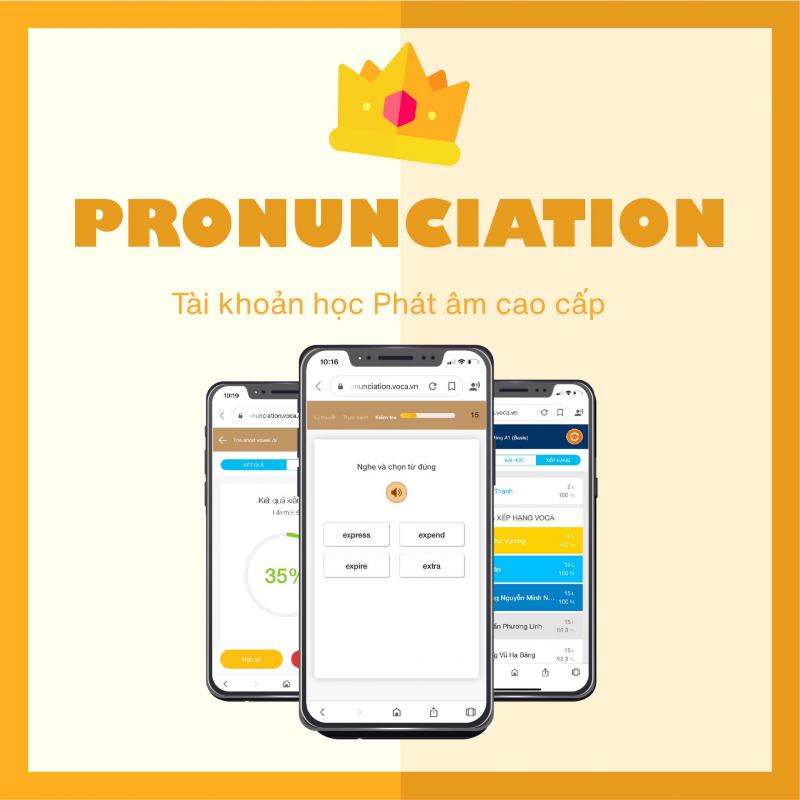 Proficient English Pronunciation IPA (khóa học phát âm tiếng Anh theo chuẩn IPA)
