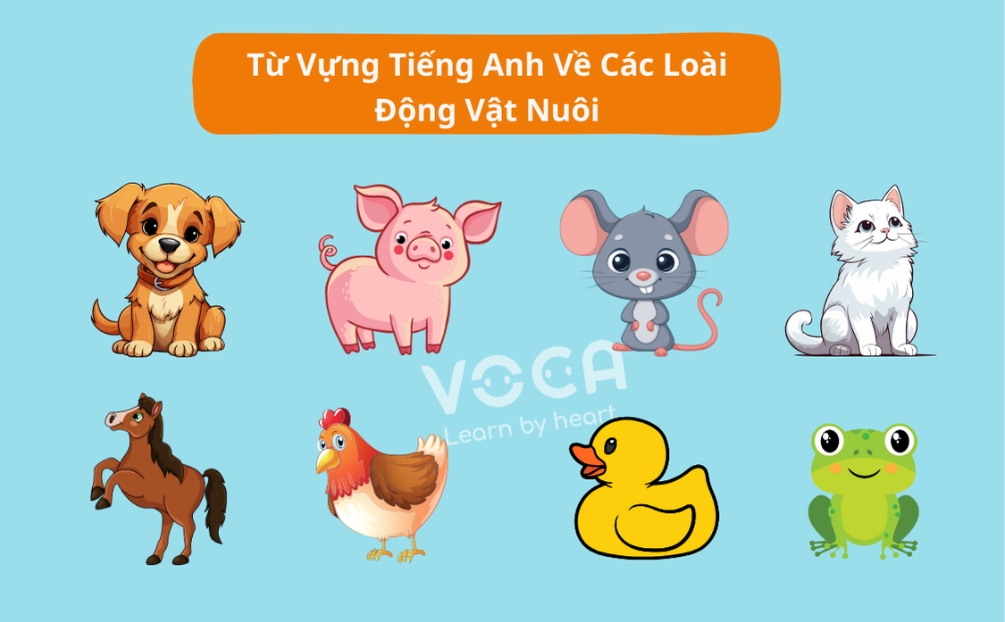 Từ vựng tiếng Anh về chủ đề động vật