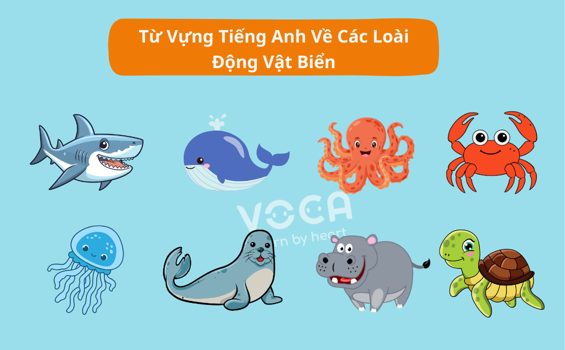 Từ vựng tiếng Anh về chủ đề động vật