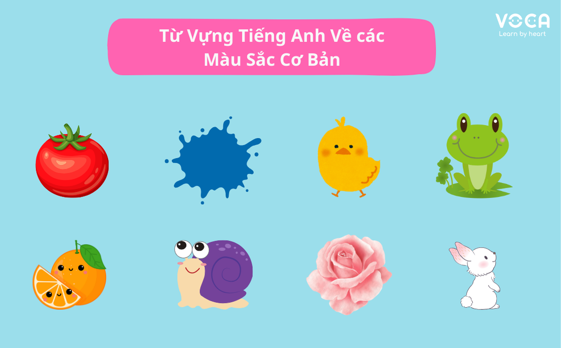 từ vựng tiếng anh về màu sắc