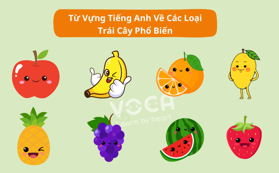 từ vựng tiếng anh về trái cây