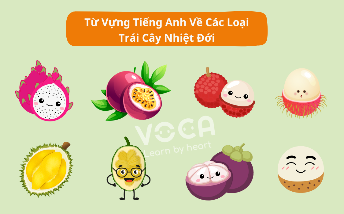 từ vựng tiếng anh về trái cây